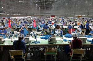Thị trường lao động vùng kinh tế trọng điểm phía Nam: Nhiều cơ hội việc làm mới